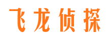 枞阳市调查公司